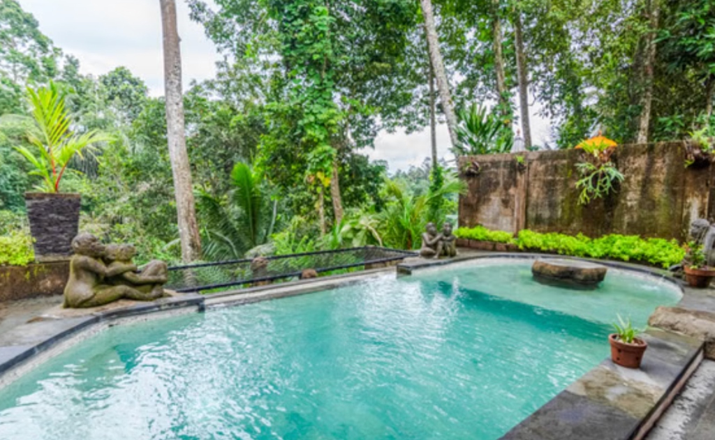 Hoshi Jungle Family Serenity Suite 3